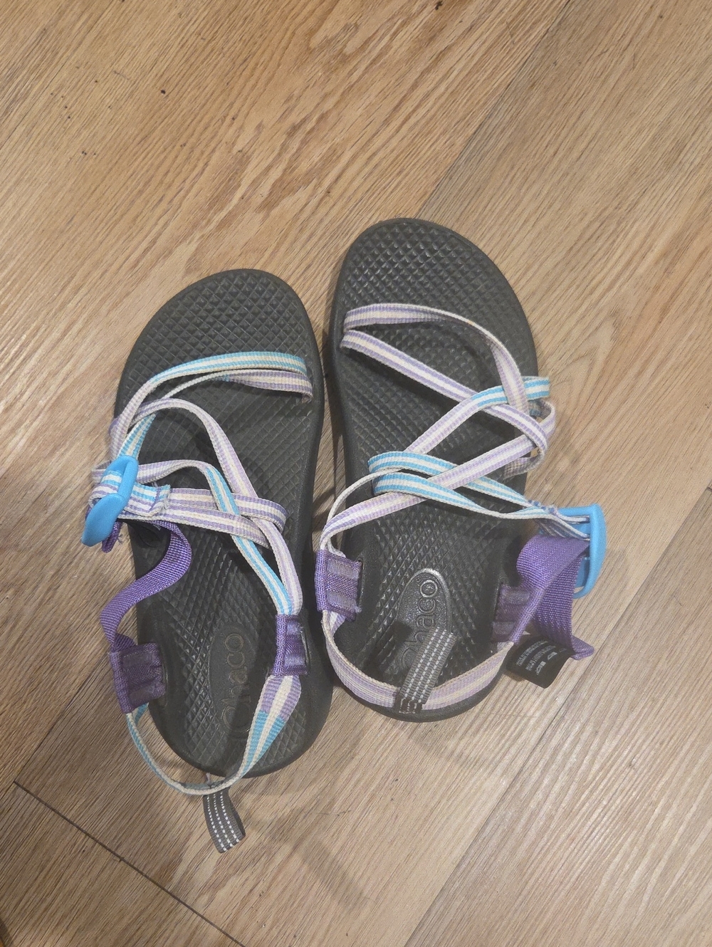 Chaco Women's Sandals in Black with Purple and Light Blue Straps